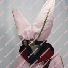 画像6: 高品質 実物撮影 ハベトロット Fate/Grand Order FGO フェイト・グランドオーダー 風 コスプレ衣装 コスチューム  オーダーメイド無料 (6)