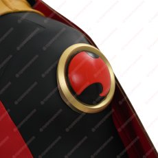 画像18: 高品質 実物撮影 ティム・ドレイク  ロビン レッドロビン バットマン  風 コスプレ衣装  コスチューム オーダーメイド (18)