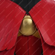 画像26: 高品質 実物撮影 ティム・ドレイク  ロビン レッドロビン バットマン  風 コスプレ衣装  コスチューム オーダーメイド (26)