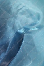 画像30: 高品質 実物撮影 澁谷かのん  唐可可 タンクゥクゥ　嵐千砂都　平安名すみれ　葉月恋　桜小路きな子　米女メイ　若菜四季　鬼塚夏美　鬼塚冬毬　ウィーン・マルガレーテ LoveLive!Superstar!! ラブライブ！スーパースター!!  Liella! 風 コスチューム コスプレ衣装  オーダーメイド (30)