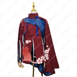仮面ライダー - ニャンコスプレ 仮面ライダー - ニャンコスプレ