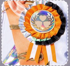 画像8: 高品質 実物撮影 花里みのり 5th Anniversary 5周年 感謝祭  プロセカ プロジェクトセカイ カラフルステージ！ feat.初音ミク 風 コスプレ衣装 コスチューム (8)